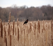 2014 04 27 WestwoodHills 015